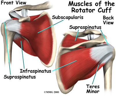 Shoulder Pain