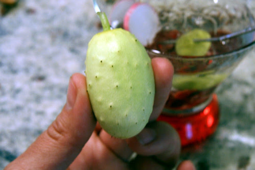NC pickling cuke
