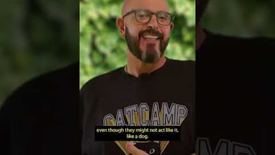 Can I Take My Cat To Someone Else'S House