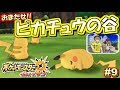 ポケモン ウルトラサンムーン ピカチュウ 246345-ポケモン ウルトラサンムーン ピカチュウ 進化