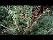 Hot Suku Aneh Indonesia Ini Jadi Sorotan Dunia, paling hot!