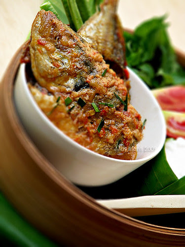 Pencok Ikan Kembung