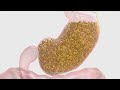 10 Diet Pills That Work Fast Without Exercise - Best over the counter diet pills