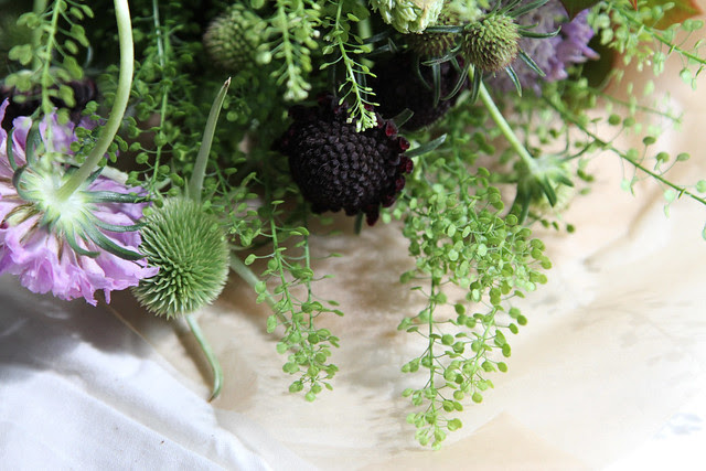 peppergrass, scabiosa, etc.