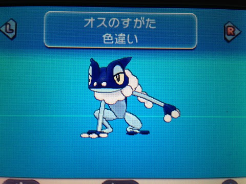 色違いいつ出るんだよ 色ゲコガシラ