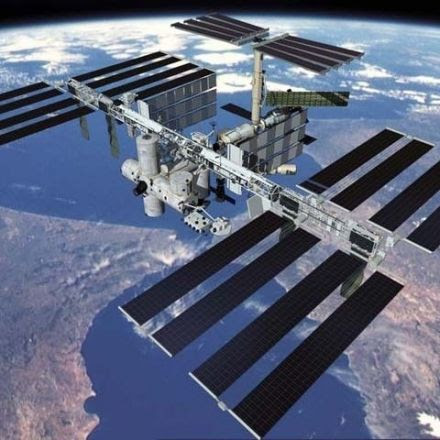 Scientists are sending fungi into space in the hope of developing new medicines