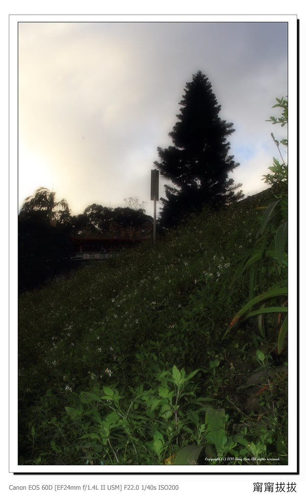binglien_IMG_2775