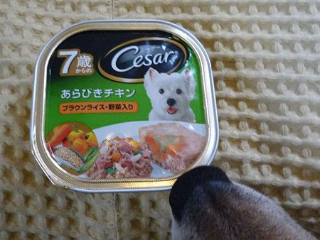 ゆるりとたのしく シーザープレミアムエイジ 犬用ウェットフード 100人にプレゼント