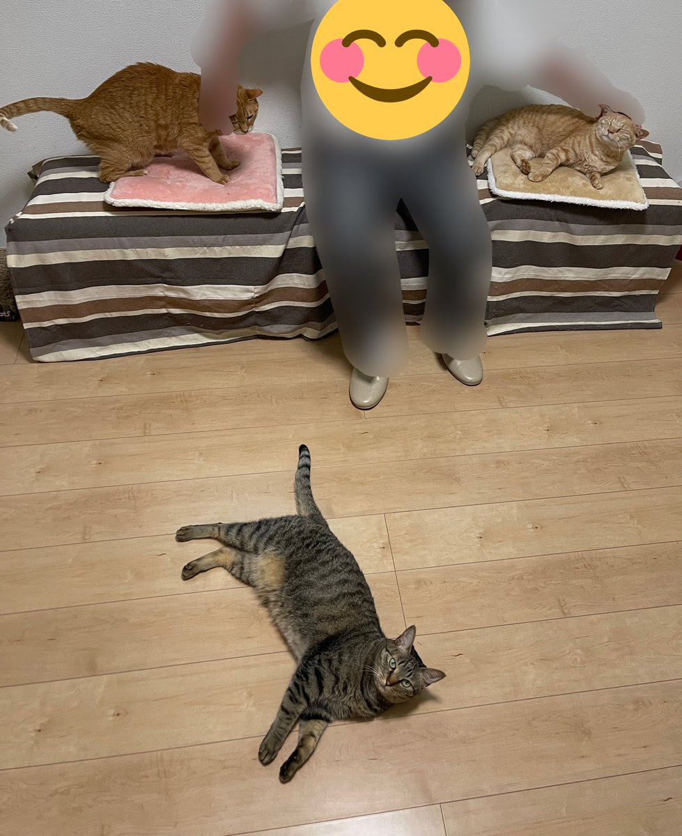いったい いくら払えば 体だけでなく心も整いそうな 整体院の秘密があった