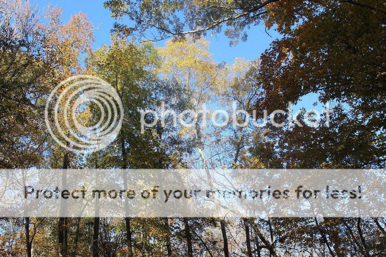  photo hike21_zps7239b4fb.jpg