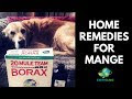 25 Luxury Home Remedies For Mange