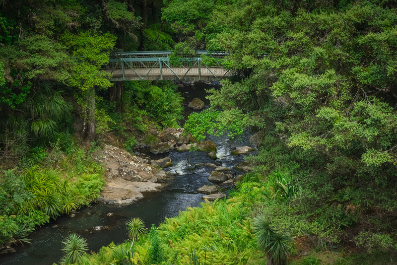 auckland to bay of islands