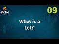 Micro Forex
