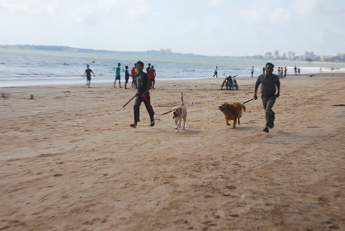 Film Stars Dogs Trying To Run Away From Indian Paparazzi .. by firoze shakir photographerno1
