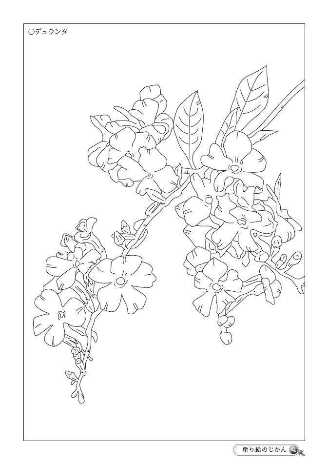 塗り絵のじかん 検索結果