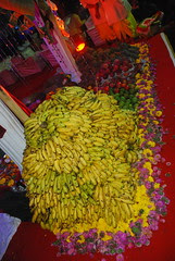 Fruits of The Loom by firoze shakir photographerno1
