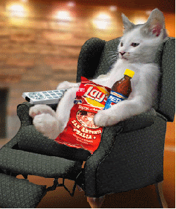 Cat Relax Relaxing TV Remote Watch Watching Snacks Snack Funny Cats LOL Laughs Laughing icon icons emoticon emoticons animated animation animations gif gifs kitten kittens animal animals Pictures, Images and Photos