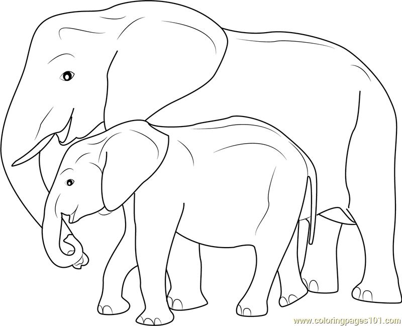 pages coloring mother baby Elephant Page Free Mother Baby Elephant and  Coloring
