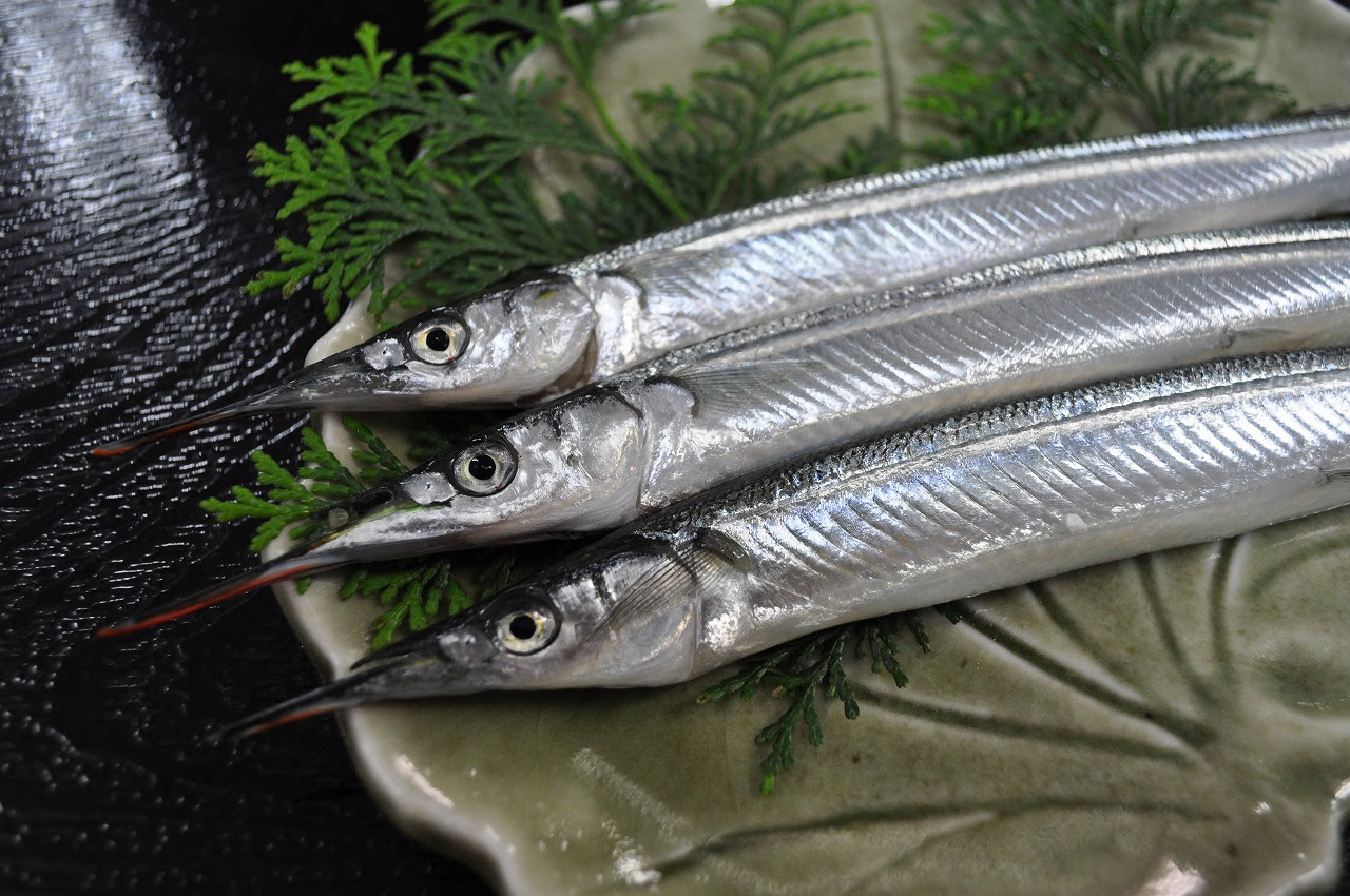 サヨリの刺し身 日本料理の捌き方や皮の食べ方 詳しく解説します 春先が旬 和食のわ