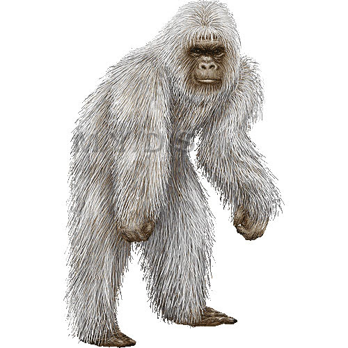 雪男 イエティー ヒバゴンのイラスト 条件付フリー素材集