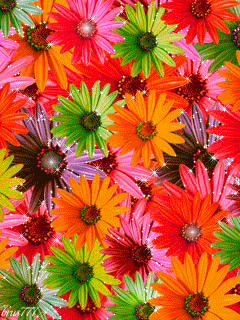 Яркие разноцветные цветочки