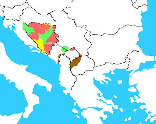 Kép