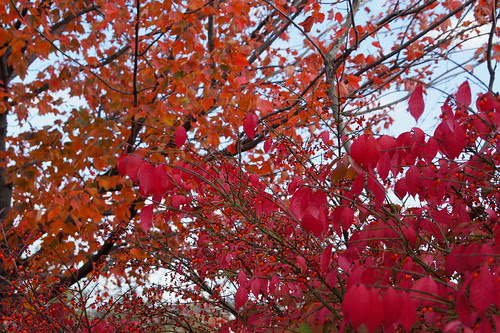 DSC05875 - Version 2