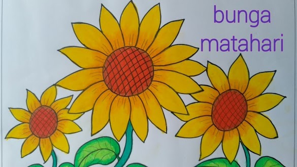Mewarnai Bunga Matahari Dengan Crayon