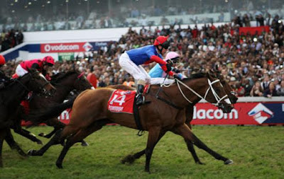 2012 - Pomodoro - Trainer: Sean Tarry - Jockey: Piere Strydom