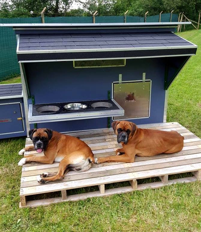 DIY Pallet Ideas you will Love!