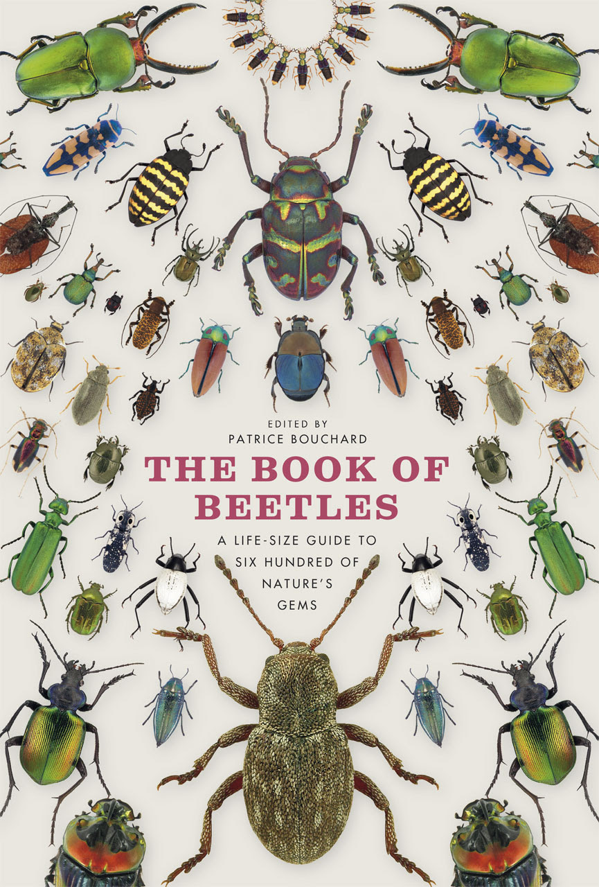 The Book of Beetles: A Life-Size Guide to Six Hundred of The Book of Beetles: A Life-Size Guide to Six Hundred of