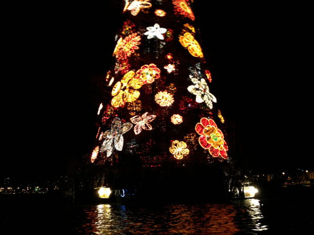 Árvore de Natal da Lagoa (Foto: Nick Ellis/TechTudo)