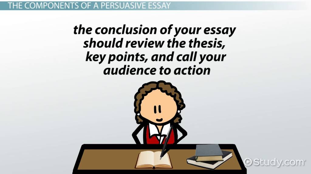 persuasive essay on seeking education is essential for all