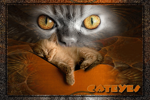 chat