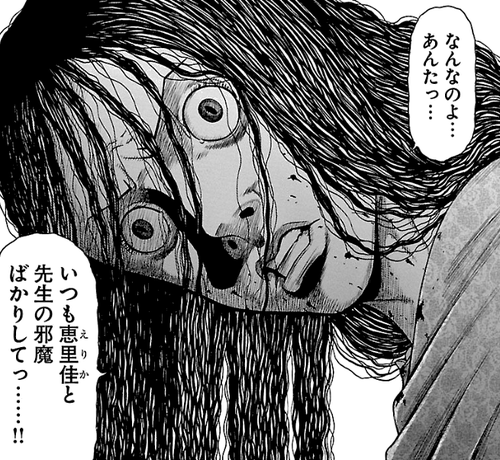 エリカ 読め しかして希望せよ 16年 広告で気になった漫画紹介 毎日漫画を読んでいこう