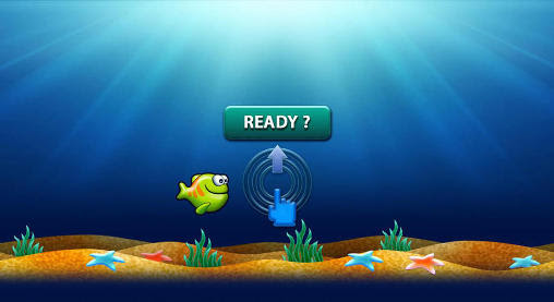 Screenshots of the Fish Bo for Android tablet, phone.