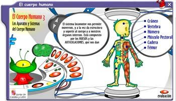 Recurso cuerpo humano