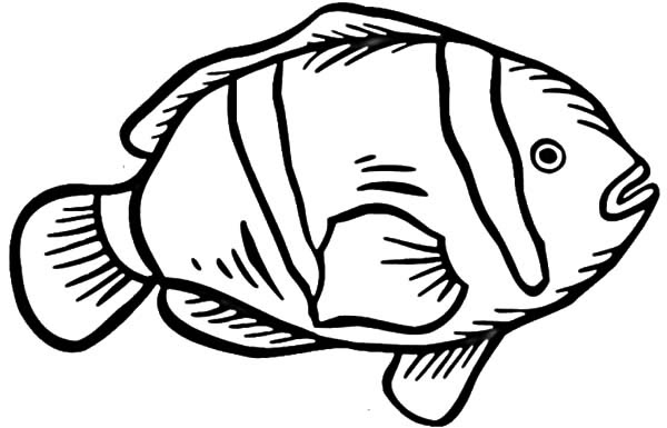 Clown Fish Picture Coloring Pages | Best Place to Color