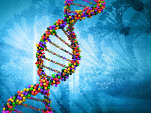 DNA Strand