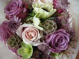 DSCN0409.jpg