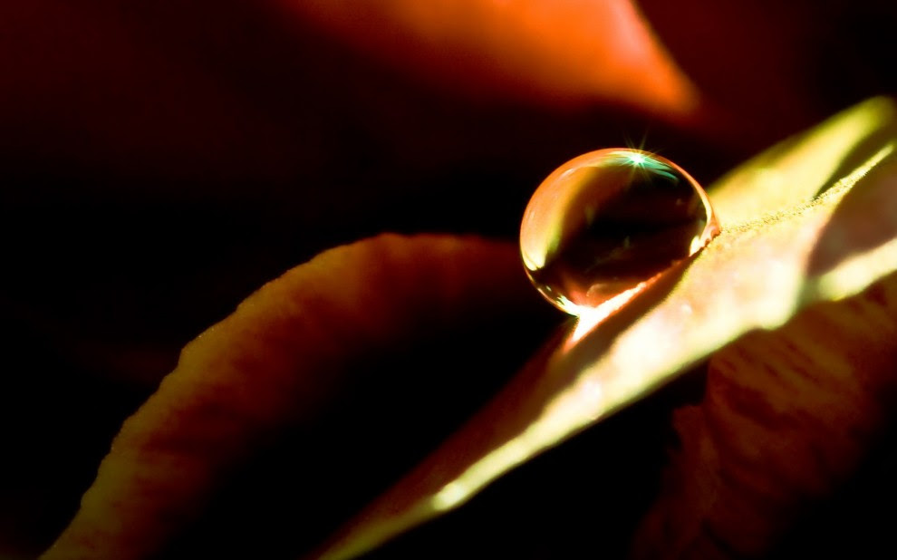 445 990x618 Wallpaper: Drops