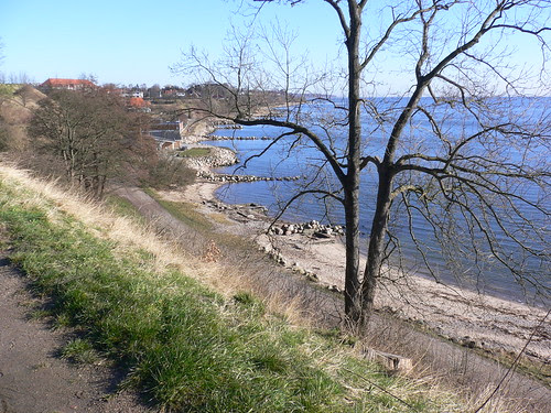 P1020334