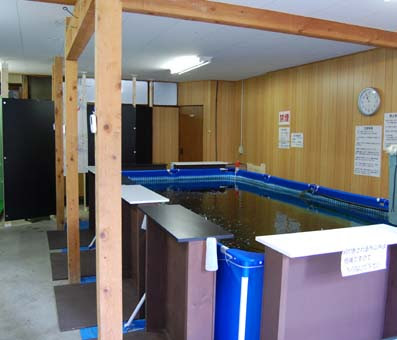 小さな釣り堀屋 公式 手ぶらで気軽に楽しめる 都会の釣り堀です