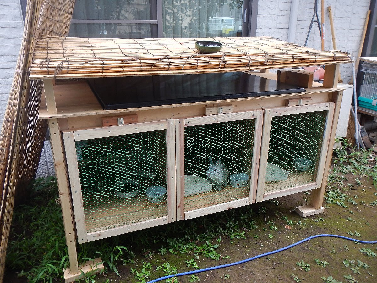 ウサギ小屋完成 Pawpaw House