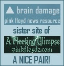 Brain Damage and A Fleeting Glimpse