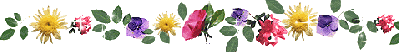barrefleurs3