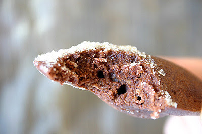 Chocolate Madeleines