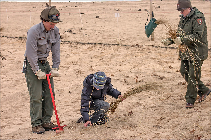 Restoring Mt. Baldy