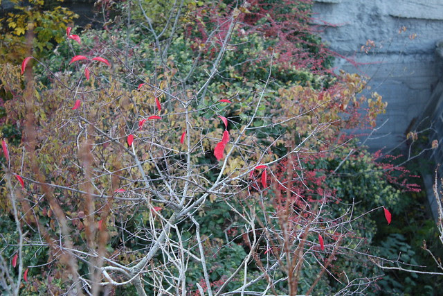 ZooWien29Oct10 (180)