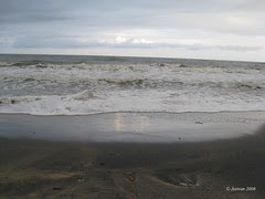 IMG_1721